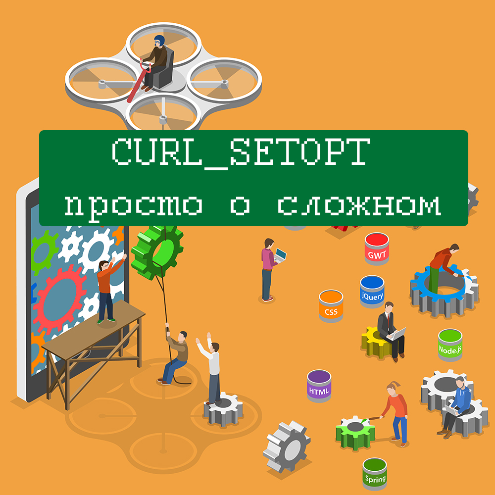  Curl PHP Curl setopt