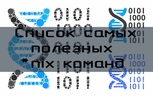 11 основных консольных команд *nix, которые должен знать каждый разработчик
